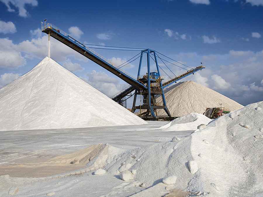 Salinas de Torrevieja