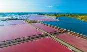 les salins d'aigues mortes